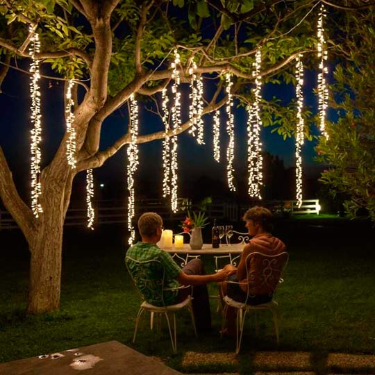 luzes de natal em árvore no quintal