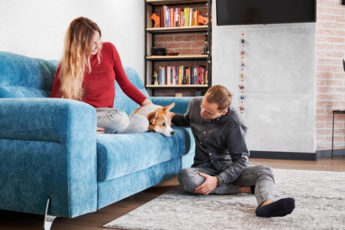 como proteger o sofá dos pets