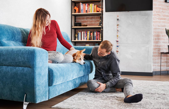 como proteger o sofá dos pets