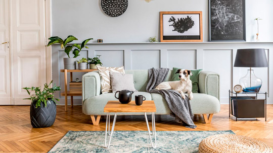 Conheça 4 motivos para ter uma sala com sofá cinza