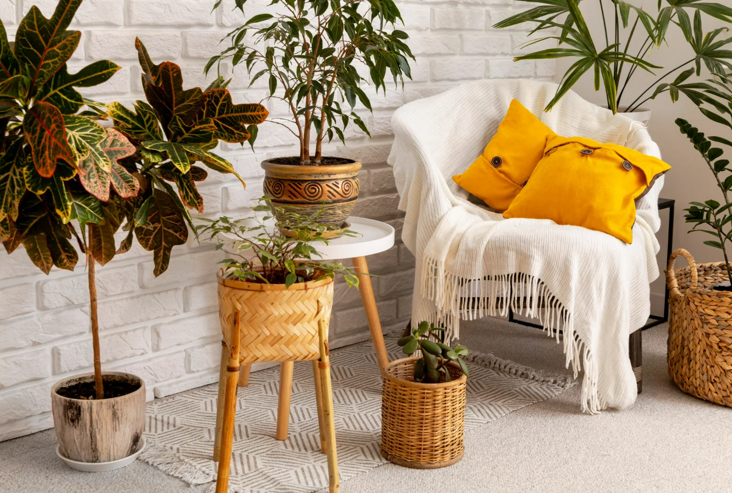 decoração boho com plantas