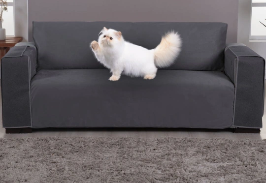 protetor arranhador de sofa para gatos