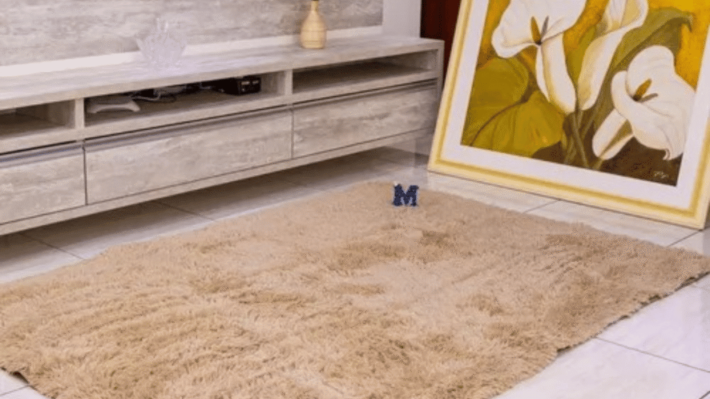 Tapete felpudo na cor bege, apoiado sobre piso claro, posicionado em frente a um rack de madeira clara e um quadro de flores apoiado na parede.