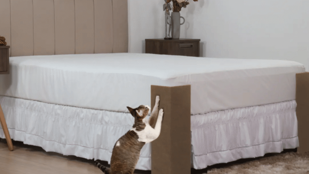 Gato arranhando protetor de canto de cama box feito em MDF e sisal, em quarto com decoração neutra.