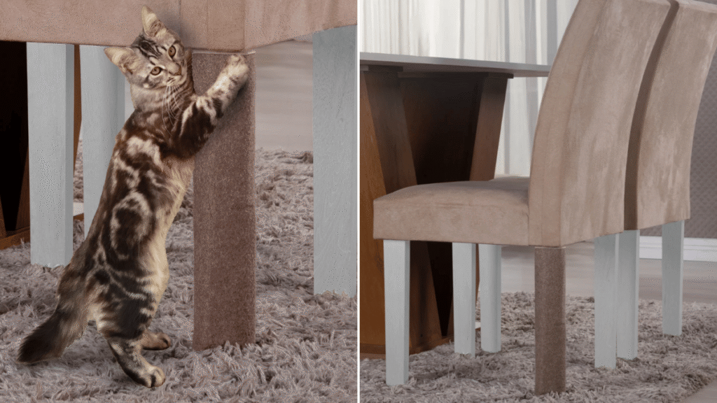 Gato arranhando protetor de pé de cadeira revestido em tecido resistente, com cadeiras de jantar ao fundo.