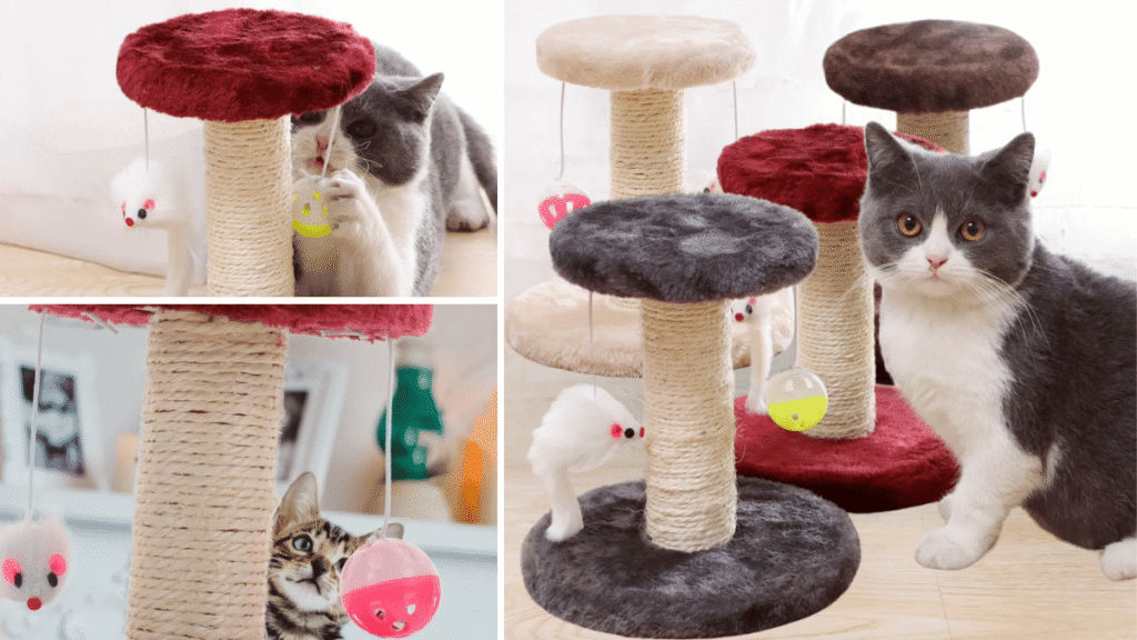 Gatos brincando ao redor de arranhadores tipo torre com base de pelúcia, revestimento em sisal e brinquedos pendurados.
